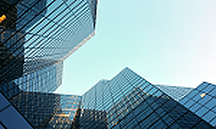 Droit des Sociétés / Fusions-Acquisitions (M&A)